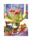 Tulips and Primulas Posters by Richard Akerman