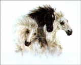 Caballos Póster por Nikki