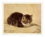 The Parson's Kitten Print by Henriette Ronner-Knip