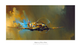 Spitfire Posters par Barrie Clark
