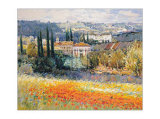 Sunlight on the Poppyfield Poster by Frank Malva