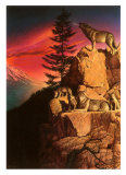 Wolf Ridge Póster por Chris Consani Wolf Ridge Póster por Chris Consani