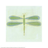 Dragonfly Pôsters por Lorraine Cook Dragonfly Pôsters por Lorraine Cook
