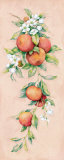 Oranges Prints by Clare Lake