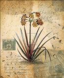 English Garden II Print by Augustine (Joseph Grassia) 
