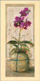 Eastern Melody II Prints by Dennis Carney
