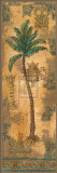Costa de Suenos II Prints by Jill O'Flannery
