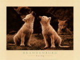 First Song Art by Jim Brandenburg