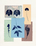 Leaf No. 101 Prints by Inka Zlin