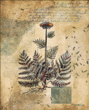 English Garden I Prints by Augustine (Joseph Grassia) 