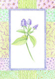 Patchwork Botanical II Prints by Aldana 