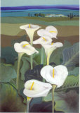 White Dream Prints by Juliane Jahn