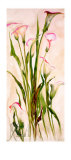 Lilies Art by Heide Konig
