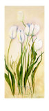 Tulpen Poster von Heide Konig