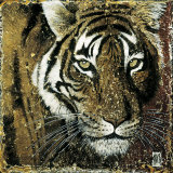 Tiger Portrait Posters by Fabienne Arietti
