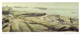 Ile au Basque,  Bernaches-Cravants Posters by Pierre Leduc
