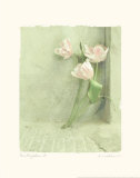 Campagne II Posters par Amy Melious