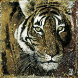 Retrato de tigre Láminas por Fabienne Arietti