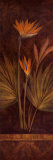 Silk Road Passage II Poster af Pamela Gladding Silk Road Passage II Poster af Pamela Gladding