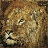 Lion Portrait Posters by Fabienne Arietti Lion Portrait Posters by Fabienne Arietti