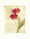 Messages I Prints by Amy Melious