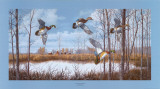 Orpinas-Wood Ducks Láminas por Michael Bargelski