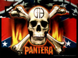 Pantera Billeder