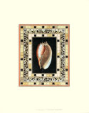Shell in Mosaic IV Art by Deborah Bookman