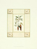 Cayenne Pepper with Mosaic Prints by Deborah Bookman