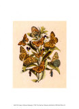 Nature's Delicate Gathering I Art