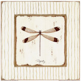 Garden Dragonfly Posters by Jan Cooley