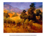 SouThern Vineyard Hills Prints by Philip Craig