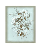 Dussurgey Hydrangea on Blue Prints by Dussurgey Dussurgey Hydrangea on Blue Prints by Dussurgey