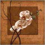 Golden Orchid II Print by Lee Carlson