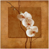 Golden Orchid I Posters van Lee Carlson Golden Orchid I Posters van Lee Carlson