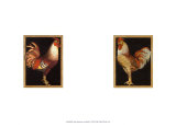 Roosters on Black Poster Roosters on Black Poster