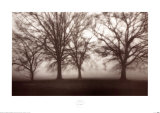 Baum im Nebel – Studie IV Kunstdrucke von Jamie Cook