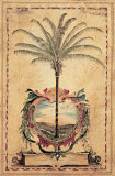 Palmier ensoleillé Poster par Elizabeth Jardine