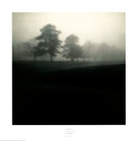 Etude d'arbre dans le brouillard II Poster par Jamie Cook