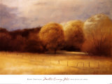 Mellow Evening Glow Posters by Robert Striffolino