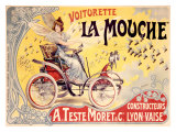 La mouche reproduction procédé giclée par Francisco Tamagno