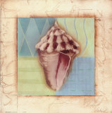 Shell Accents I Affiches par Celeste Peters