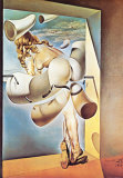 Young Virgin Auto-Sodomized by Her Own Chastity, c.1954 Affiches van Salvador Dalí Young Virgin Auto-Sodomized by Her Own Chastity, c.1954 Affiches van Salvador Dalí