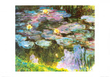 Violet Water Lilies Posters by Claude Monet