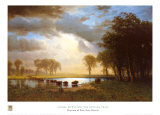 Buffalo Trail Posters by Albert Bierstadt