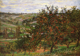 Apple Trees in Bloom at Vetheuil, c.1887 Prints by Claude Monet
