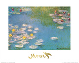 Water Lilies, c.1908 (detail) Kunstdrucke von Claude Monet