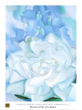White Rose W/ Lakspur No.2 Plakater af Georgia O'Keeffe