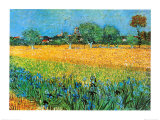 Blick auf Arles Kunstdrucke von Vincent van Gogh