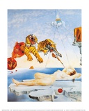 Traum, verursacht durch den Flug einer Biene um einen Granatapfel, eine Sekunde vor dem Aufwachen, ca. 1944 Kunstdruck von Salvador Dalí